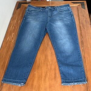 Democracy AbTechnology w/ Unfinished Hem Denim Jeans Size 16